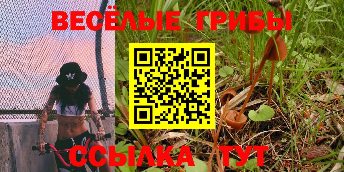 Галлюциногенные грибы ЛСД Балашов