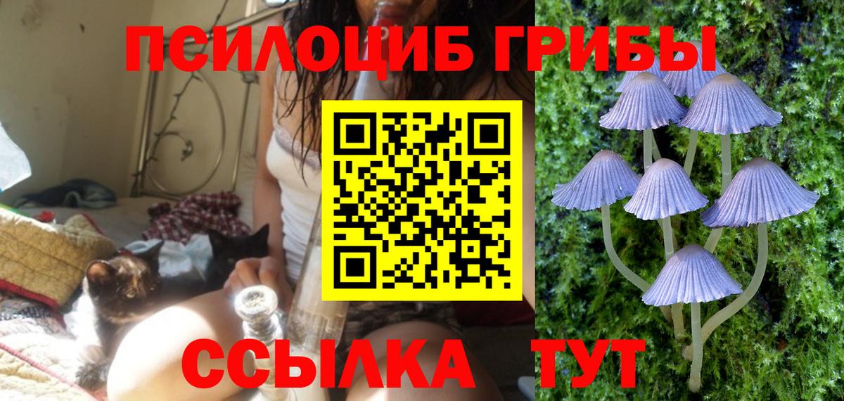 Галлюциногенные грибы Cubensis  Вход с VPN  Галлюциногенные грибы Psilocybine cubensis  Балашов 